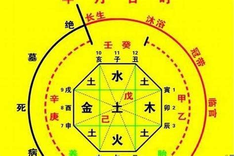 八字 福德|四柱八字神煞解析（干货，初学者码住）